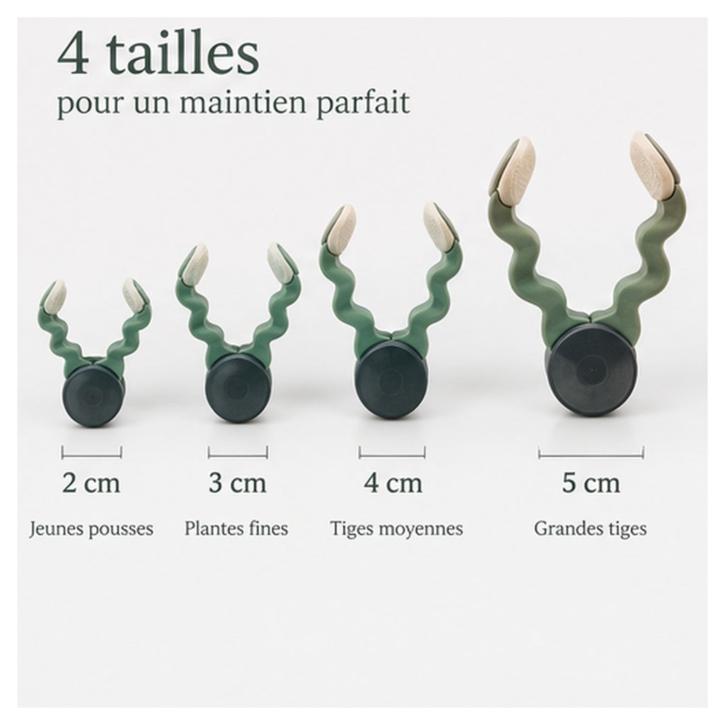 Clips Tige Accordéon – 16 attaches végétales souples