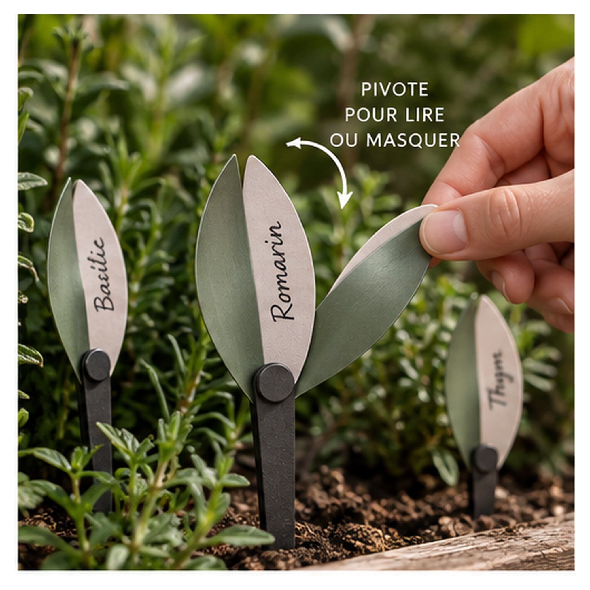 Étiquettes Feuille Pivot – Lot de 12 marque-plantes réutilisables