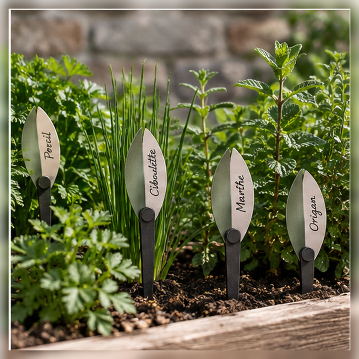 Étiquettes Feuille Pivot – Lot de 12 marque-plantes réutilisables
