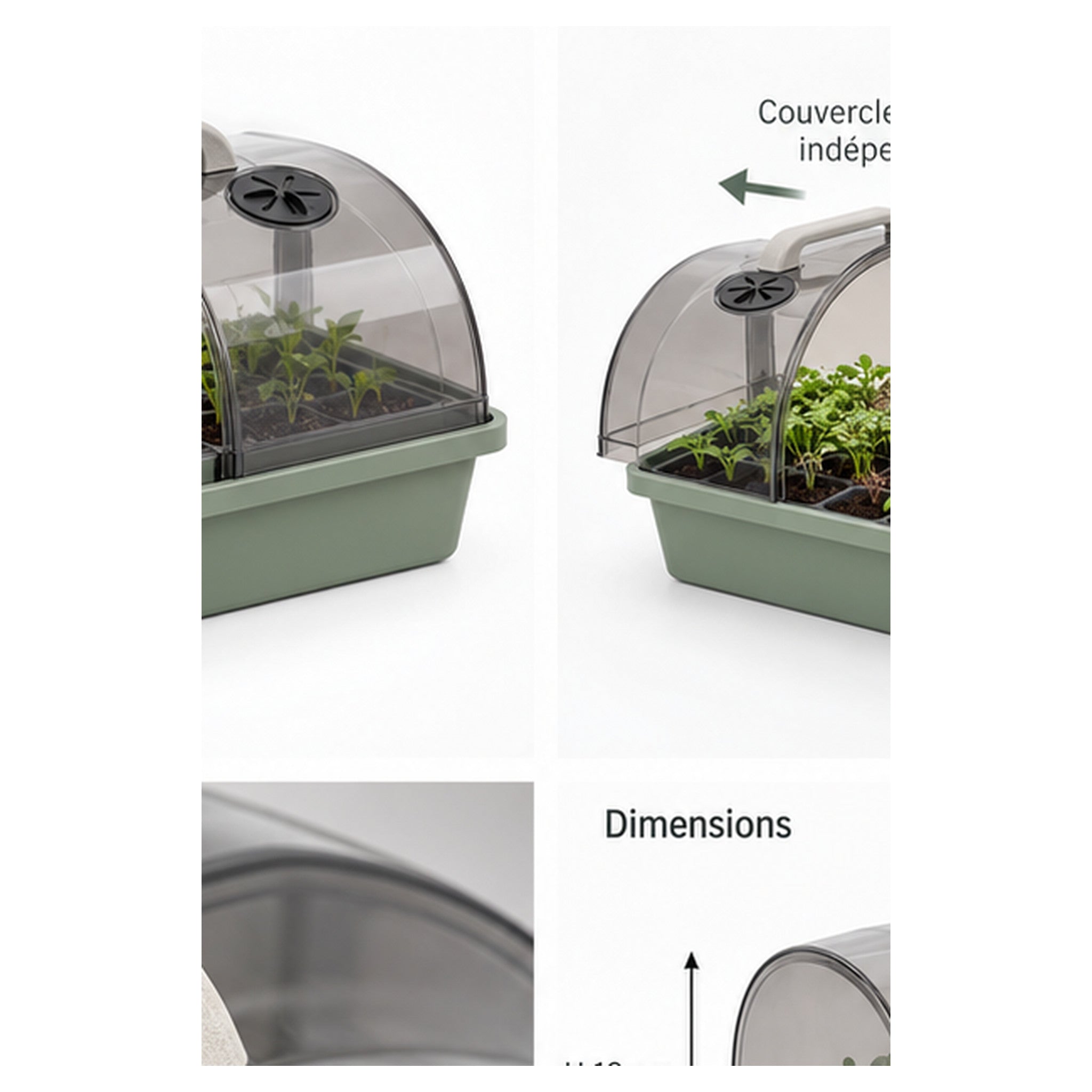 Mini-Serre Arche Claire – Propagateur compact à aérations réglables