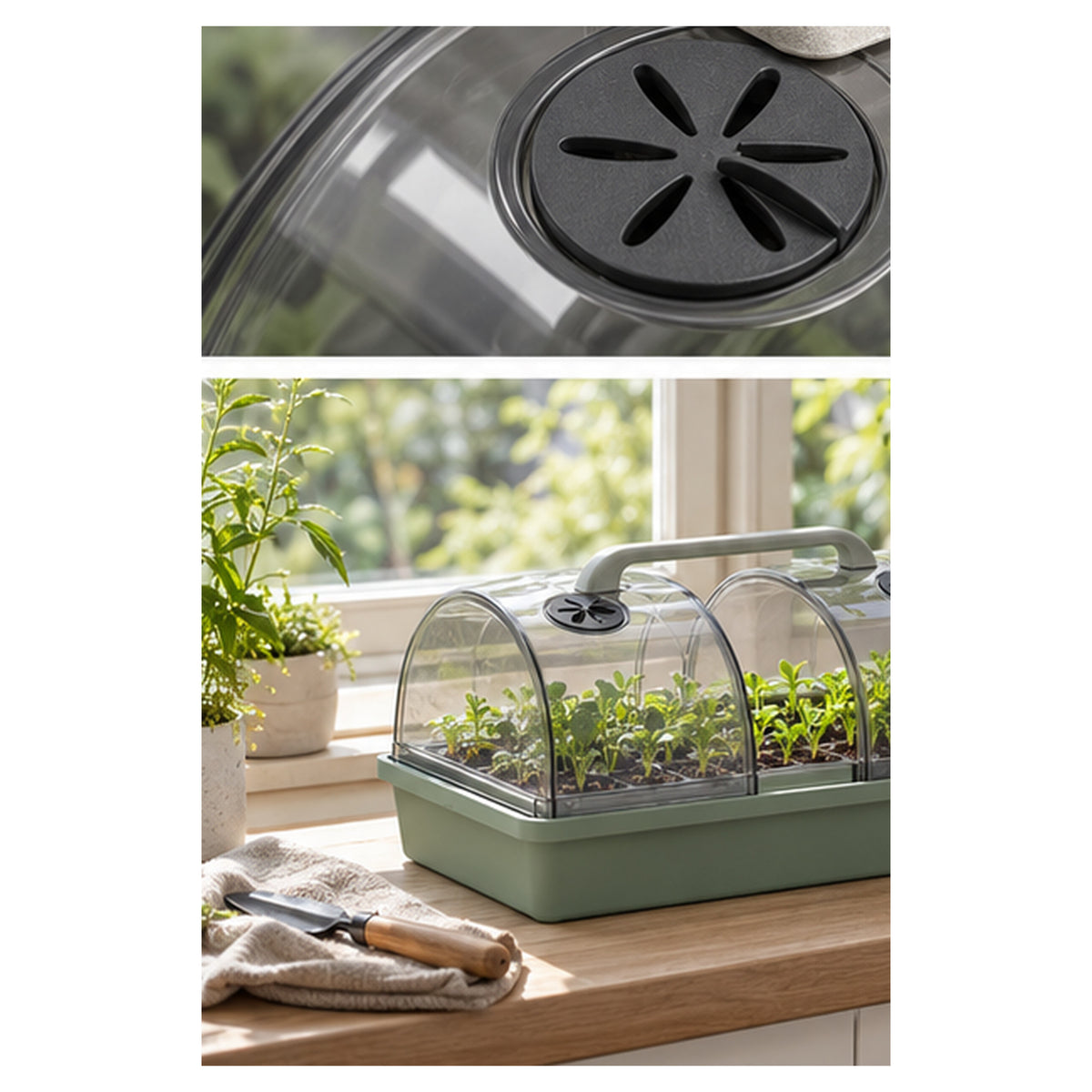 Mini-Serre Arche Claire – Propagateur compact à aérations réglables