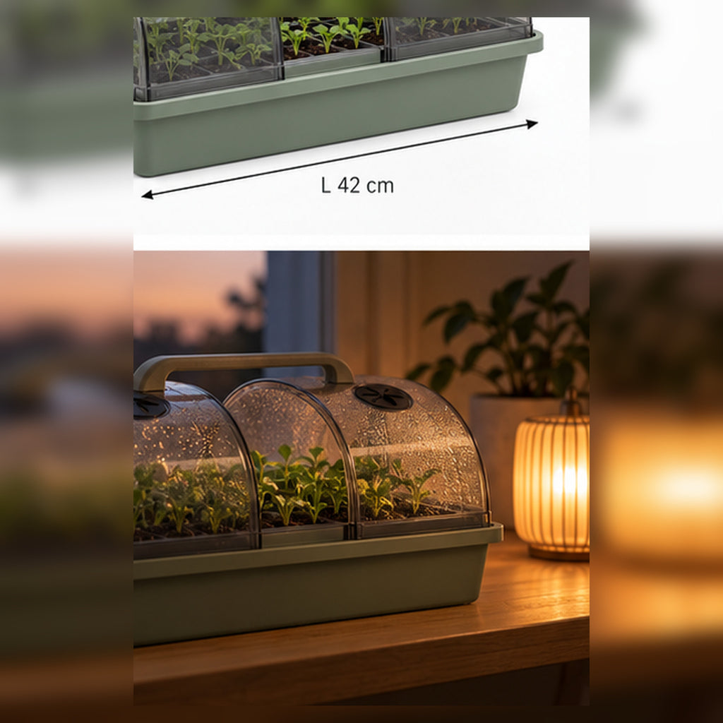 Mini-Serre Arche Claire – Propagateur compact à aérations réglables